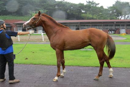 ������� ����