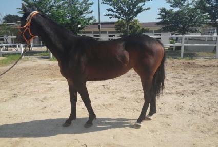 ������ ����