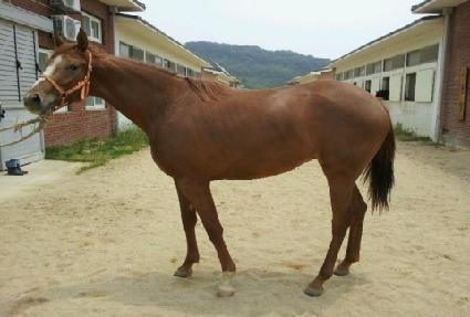 �������� ����