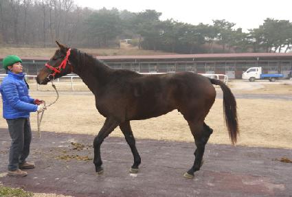 ���İ�� ����