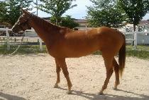 WINNER'S MARINE picture