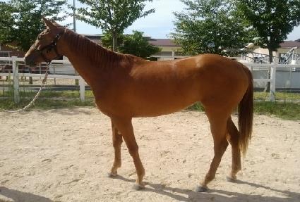 ���ʽ����� ����