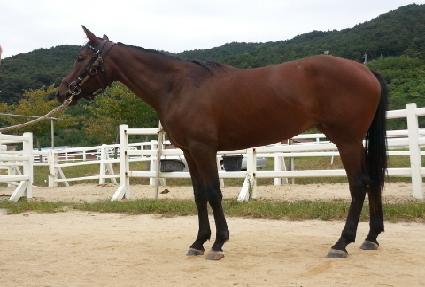 �ְ����̵� ����