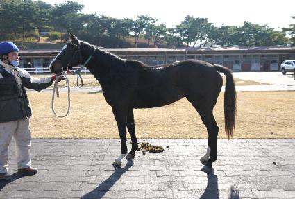 �Ű��� ����