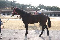 û�ȣ (CHEONGUN GANGHO) ����