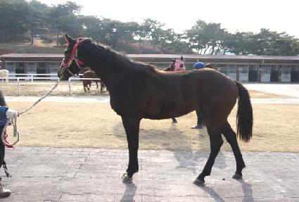 û�ȣ ����