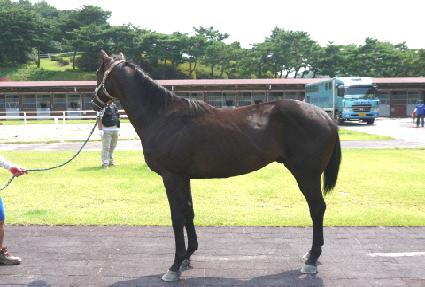 ������� ����