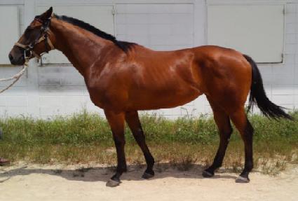 ���̽�Ÿ�� ����