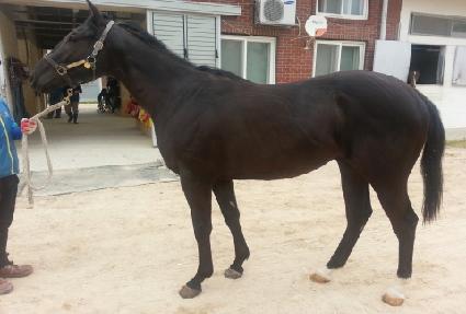 ������è�Ǿ� ����