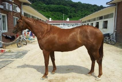 ��󸸻� ����