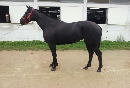 ǲ�½��ǵ� ����