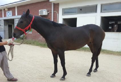 �Ƹ��ٿ���� ����