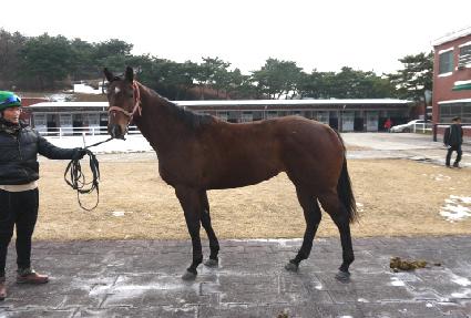 �������Ͽ�� ����