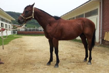 ����¯�� ����