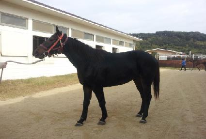 �ʵ����� ����