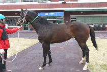 ������ (DAEJINGYEOK) ����