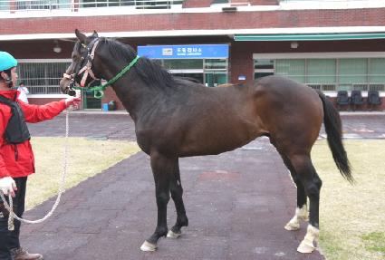 ������ ����