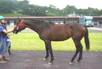 �����̽���Ʋ ����