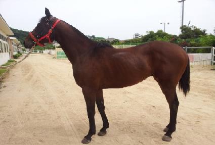 �������� ����