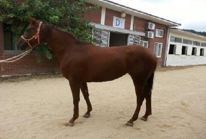 ���̵���� ����