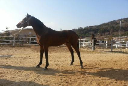 �������� ����