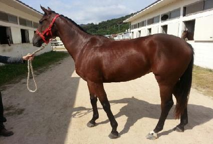 ������̹� ����