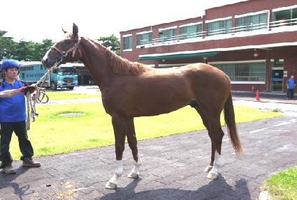 ��Ű�̱� ����