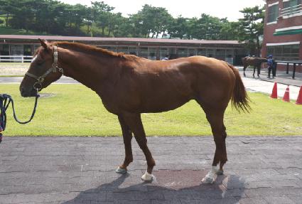 ����Ŭȣ�� ����