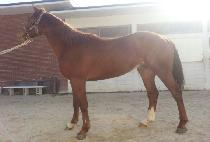 ���ڴ�� (GANGJA DAERO) ����