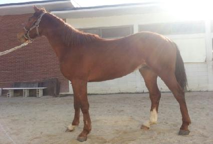 ���ڴ�� ����