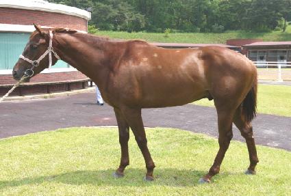 �����巡�� ����