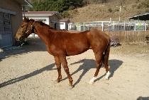 ��� (DEUNGBUL) ����