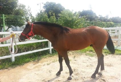 ���뼼 ����