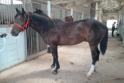 ���ߴ�� ����