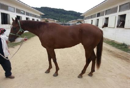 ���̽����� ����