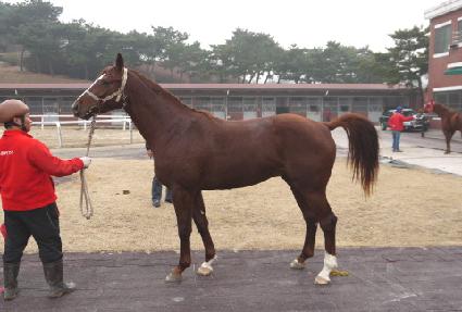 �������� ����