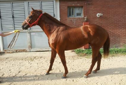 ��ο��� ����