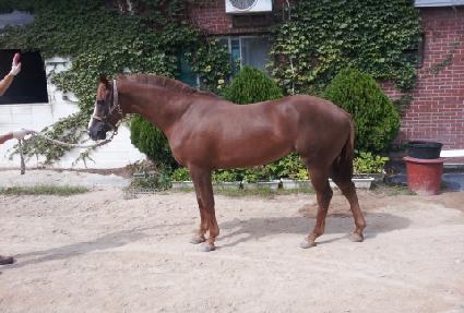 �뼺�� ����