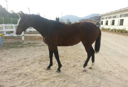 �뼺���� ����