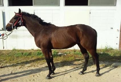 ����Ʈ���� ����