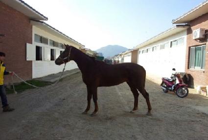 �������� ����