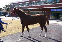 ���彺������ (SUPEX PRINCE) ����