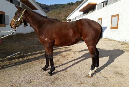 ���ϵ�Ÿ ����