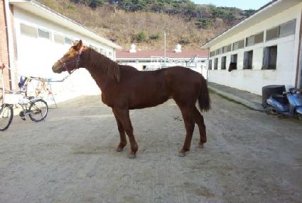 �̱�ݱ״�� ����