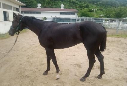 ����ֳ� ����