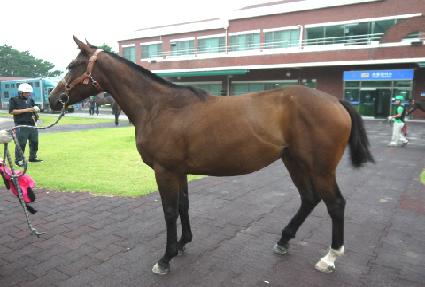 õ�Ϲ��� ����