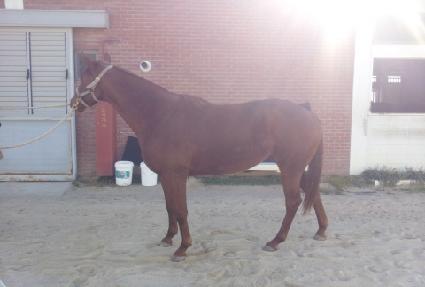 ������ũ ����