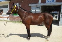 ���������¾� (JIJUNGHAEUITAEYANG) ����