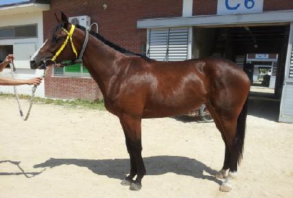 ���������¾� ����