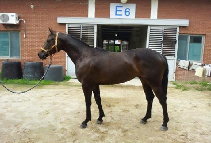 �ް����� ����